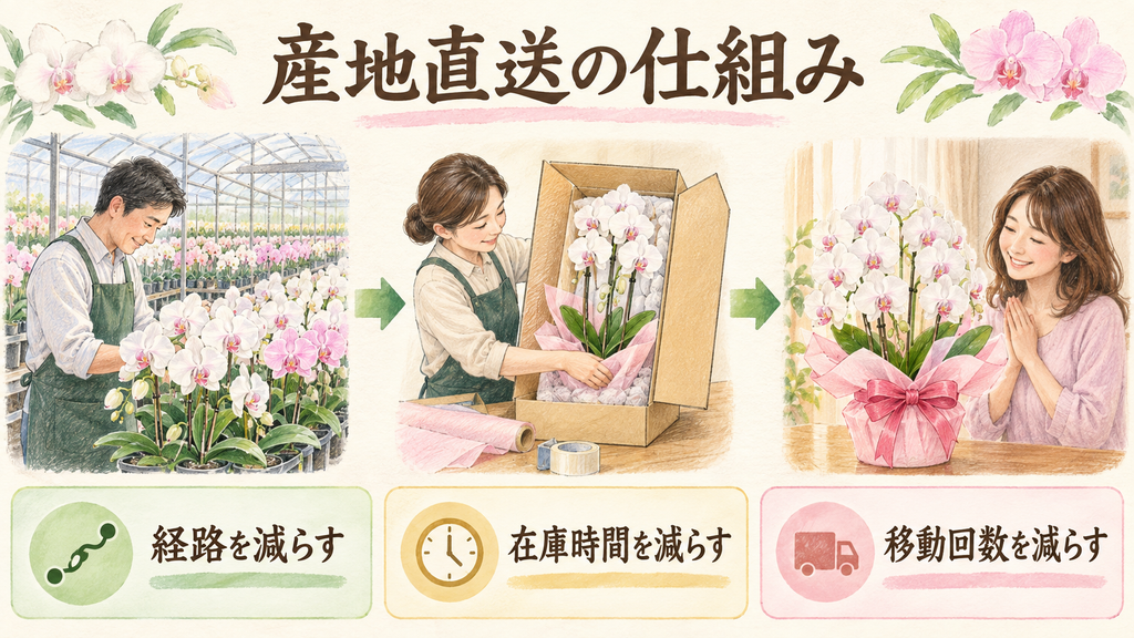 産地直送の仕組みと3つの利点を理解するの結論を示す手書き図解