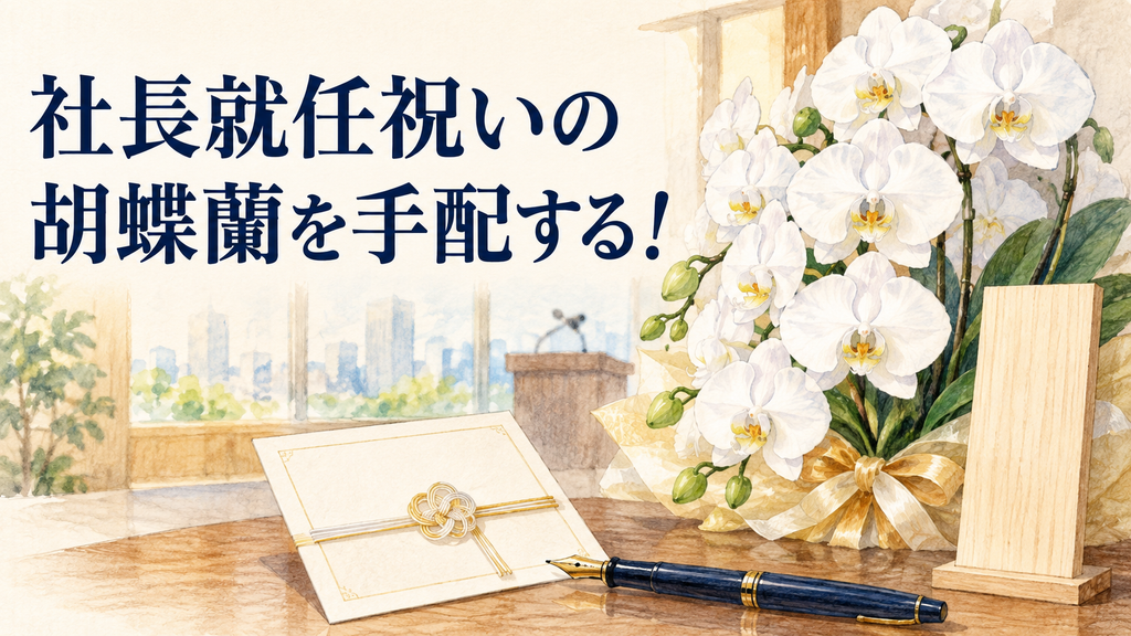 社長就任祝いの胡蝶蘭を手配する！立札の書き方と贈る時期を解説の結論を示す手書き図解